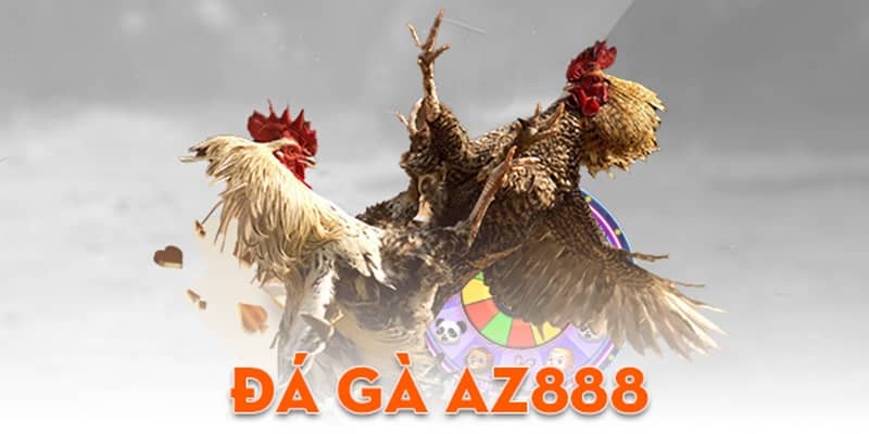 Đá Gà AZ888